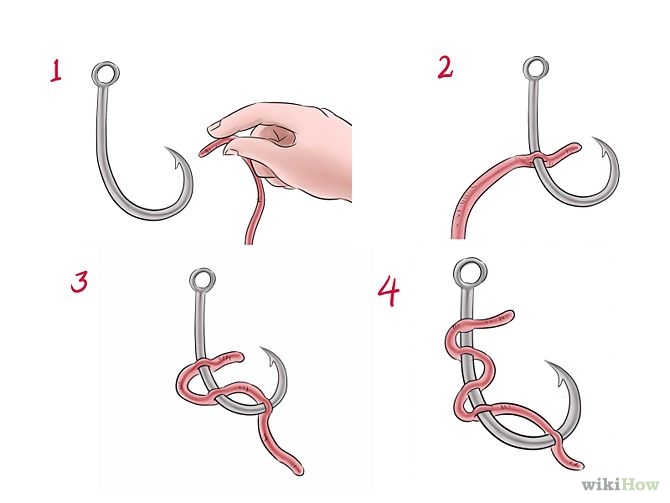 Bait a Worm Step 6.jpg