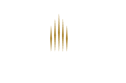 Five Star Alliance