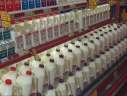 milk and dairy products