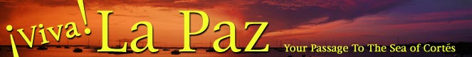 viva la paz: your passage to the sea of cortes