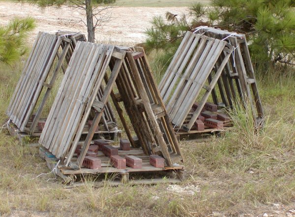 Image result for Wooden pallet for crappie bed